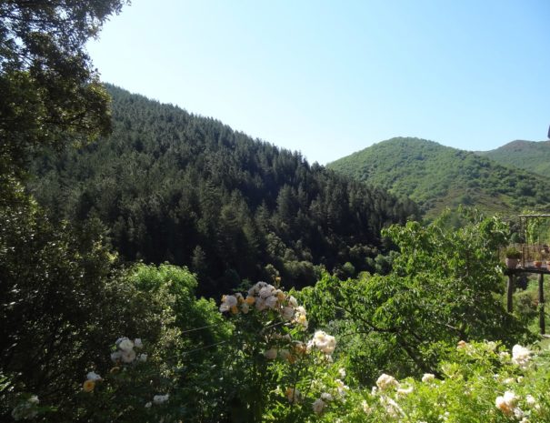 Propriété : Panorama du parking